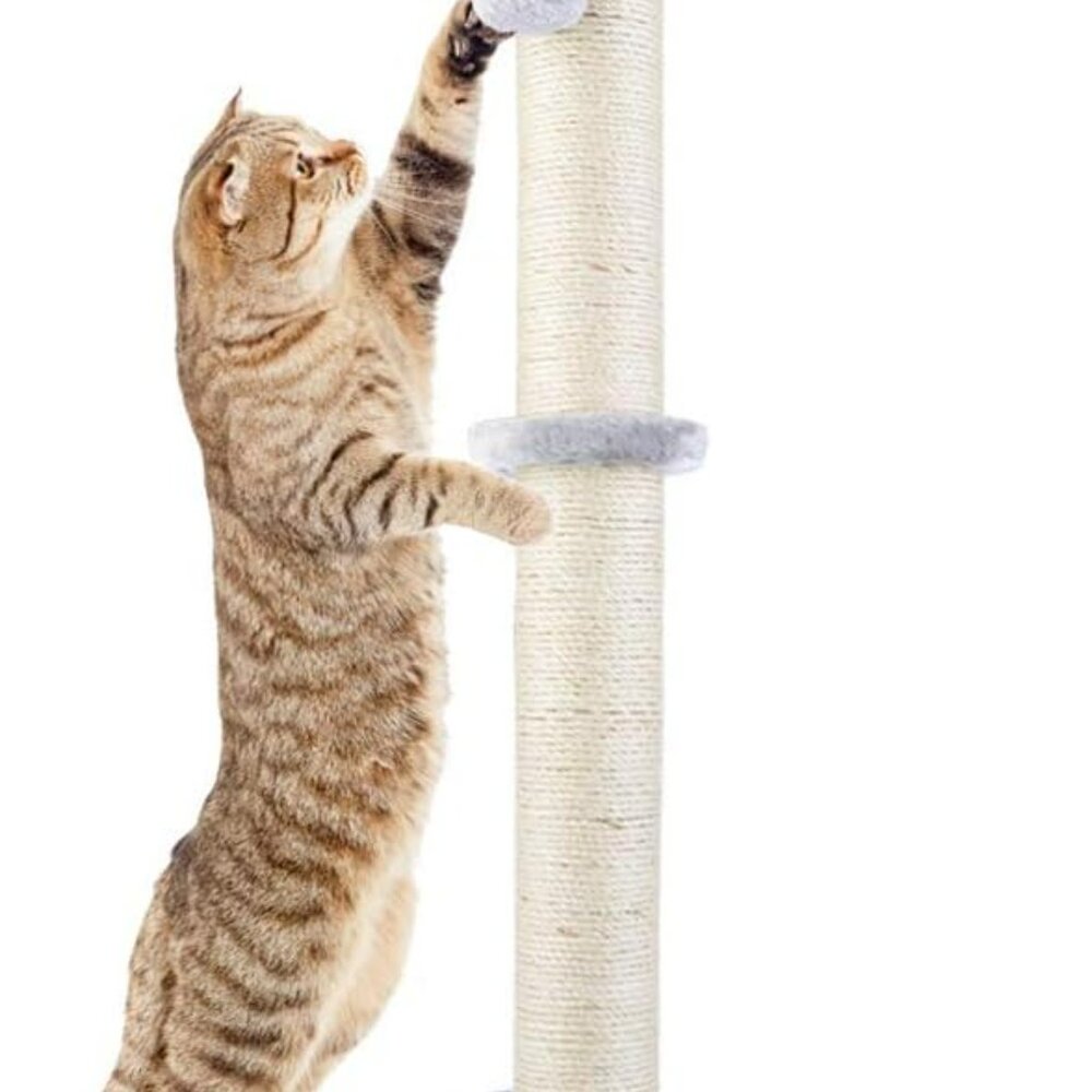 29" Height Tall Cat Scratching Post, Claw Scratcher with Sisal Rope and Covered